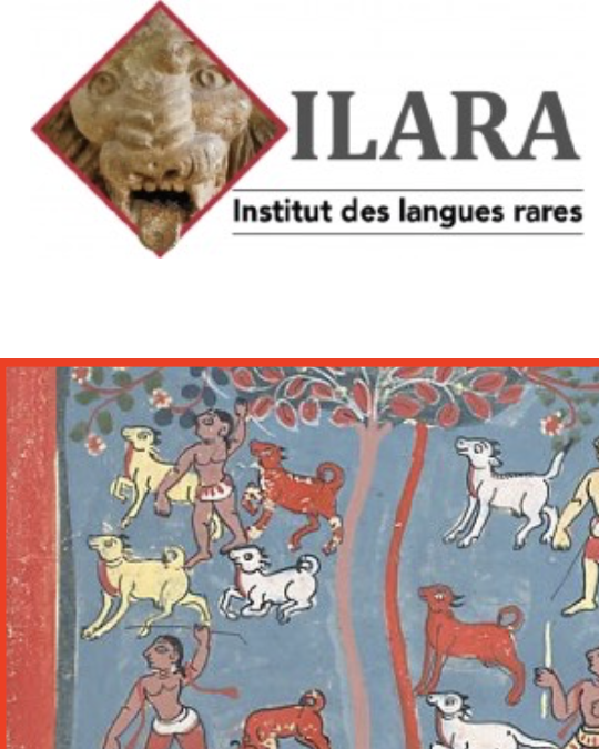 Stage de sanskrit - ILARA